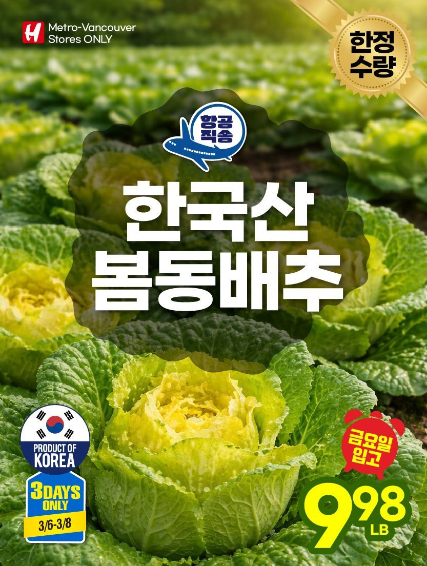 [잡담] 캐나다에 봄동 수출된대 | 인스티즈