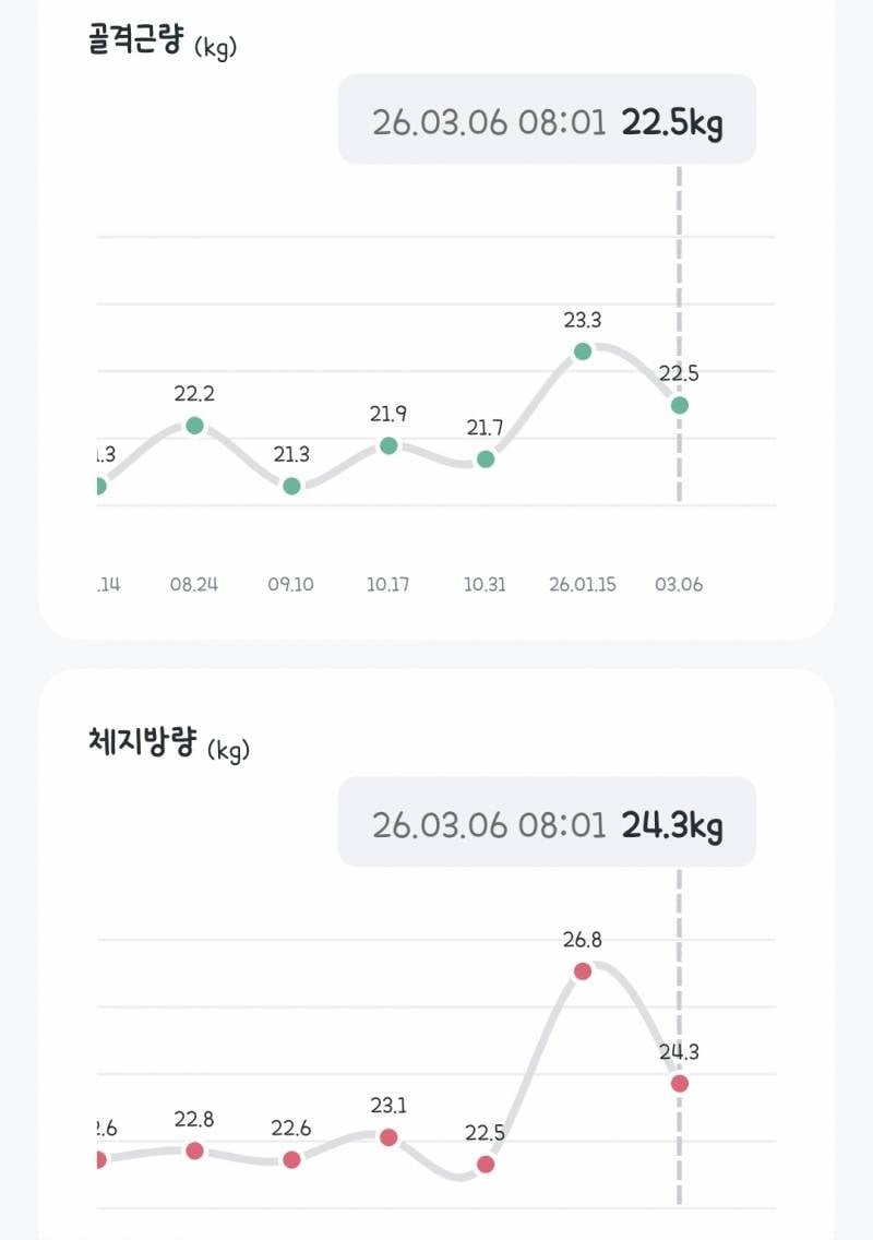 [잡담] 마운자로 1-2주차 후기 (긴글) | 인스티즈