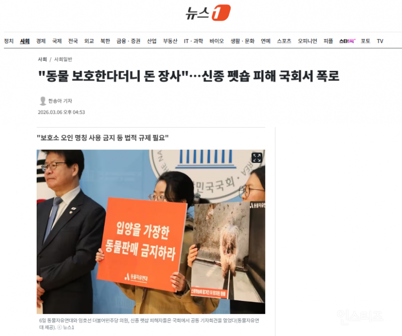 "동물 보호한다더니 돈 장사"…신종 펫숍 피해 국회서 폭로 | 인스티즈
