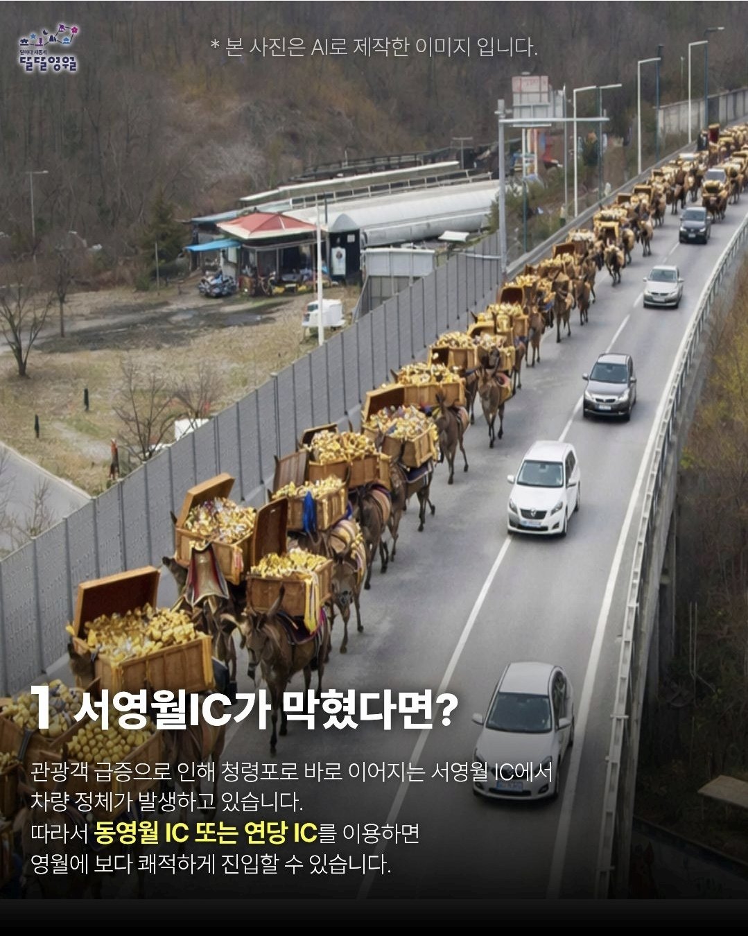 [잡담] 아 영월 신났네ㅋㅋㅋ 청령포 방문팁 ㄱㅇㄱ | 인스티즈