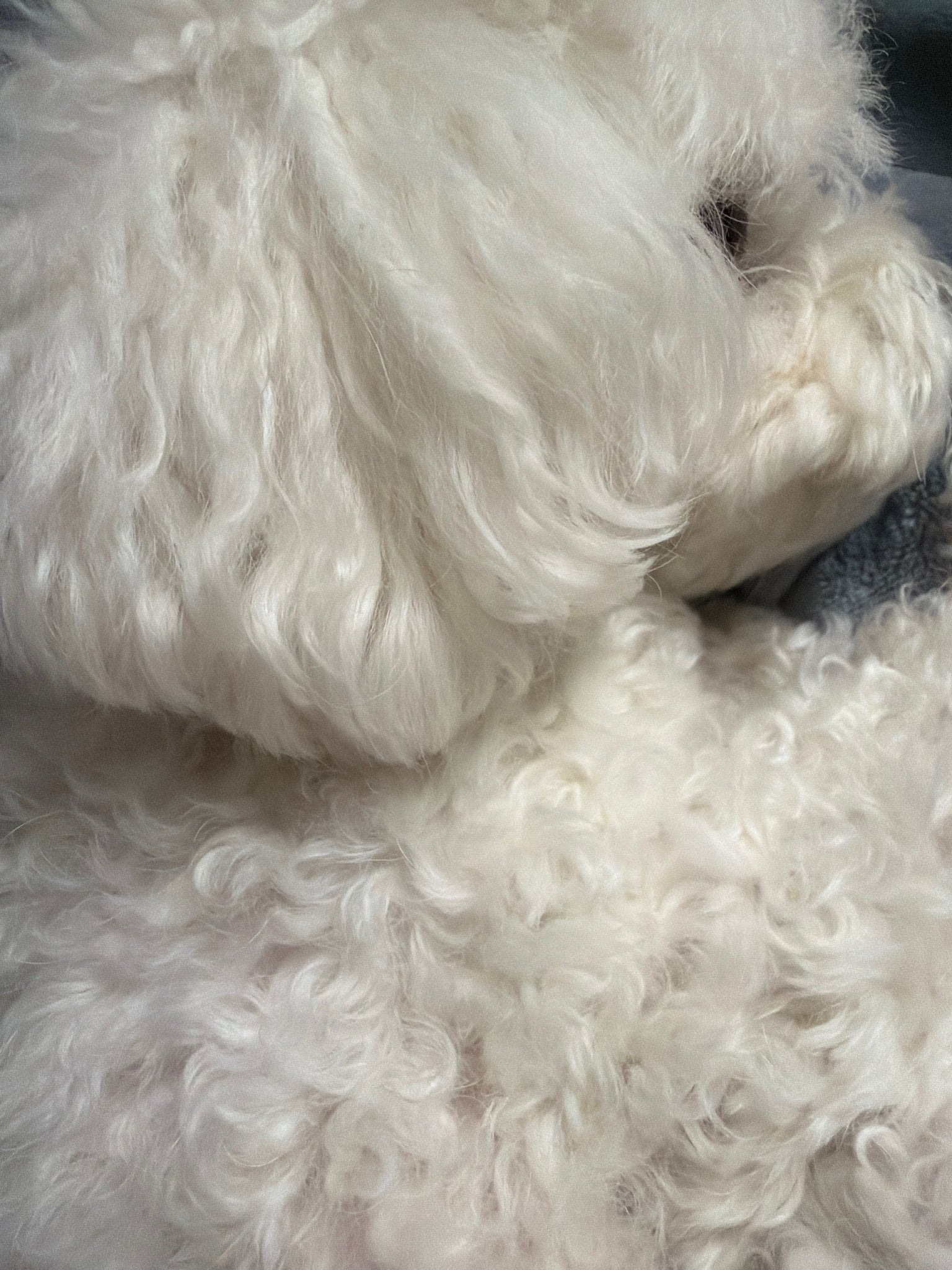 [잡담] 하 대갈공주 오랜만입니다🧎🏻‍♀️‍➡️🧎🏻‍♀️‍➡️ | 인스티즈