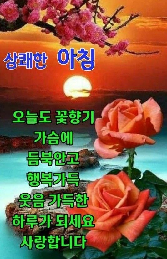 [잡담] 박지훈 이런 말 해도 되나 인스스 말투 | 인스티즈