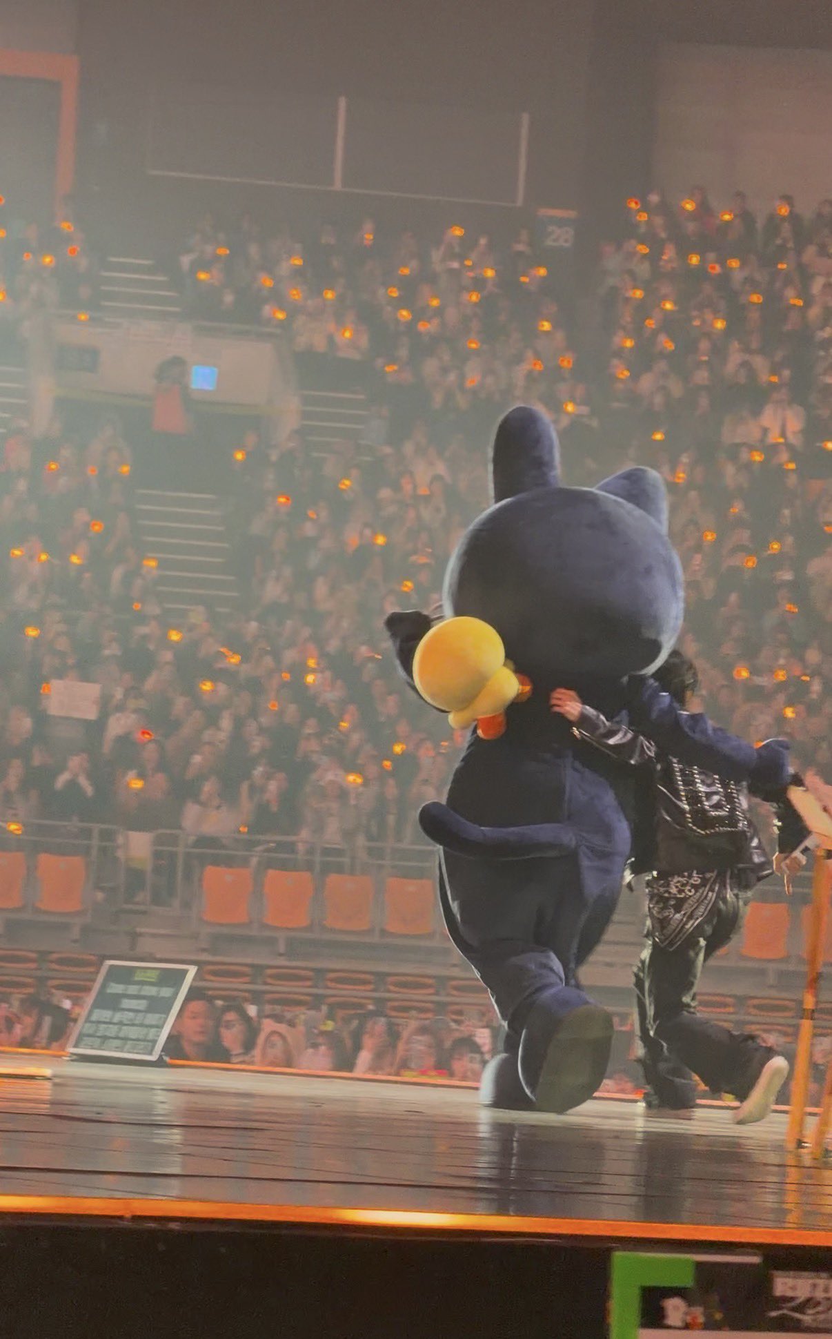 [잡담] 원빈이랑 냥덕이 뒷태가 똑같음ㅋㅋㅋㅋ | 인스티즈