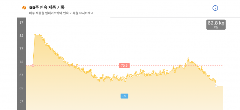 [잡담] 내 다이어트 그래프.. 82->62 까지 뺐당 | 인스티즈