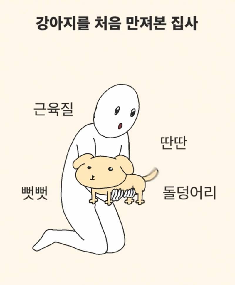 [잡담] 강아지 고양이 키우는 사람을 들어와봐 진짜 이래!? | 인스티즈