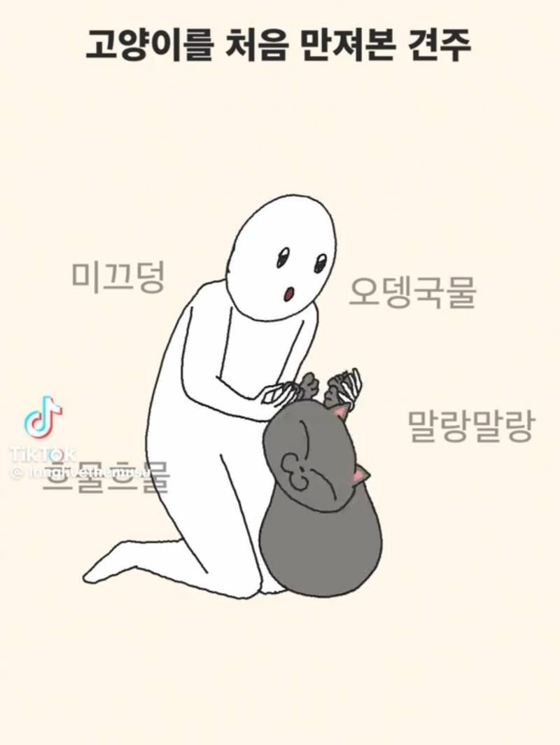 [잡담] 강아지 고양이 키우는 사람을 들어와봐 진짜 이래!? | 인스티즈