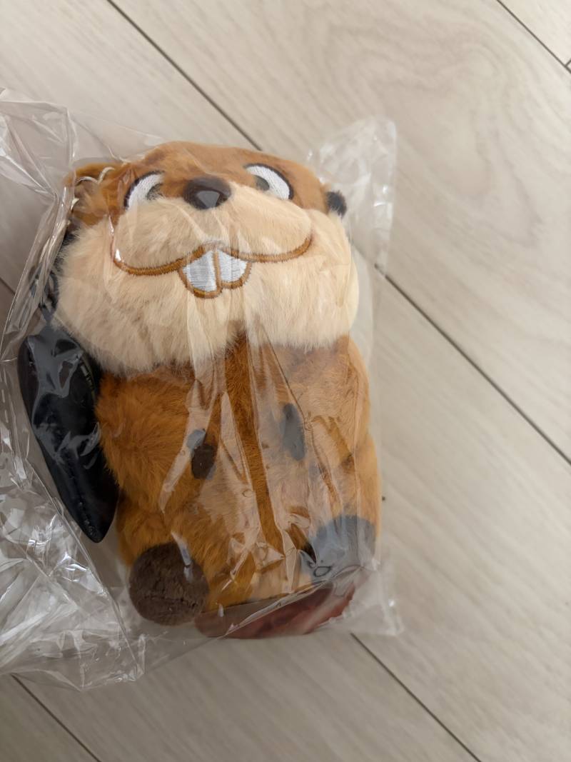 [잡담] 오늘 산거 🦫 | 인스티즈