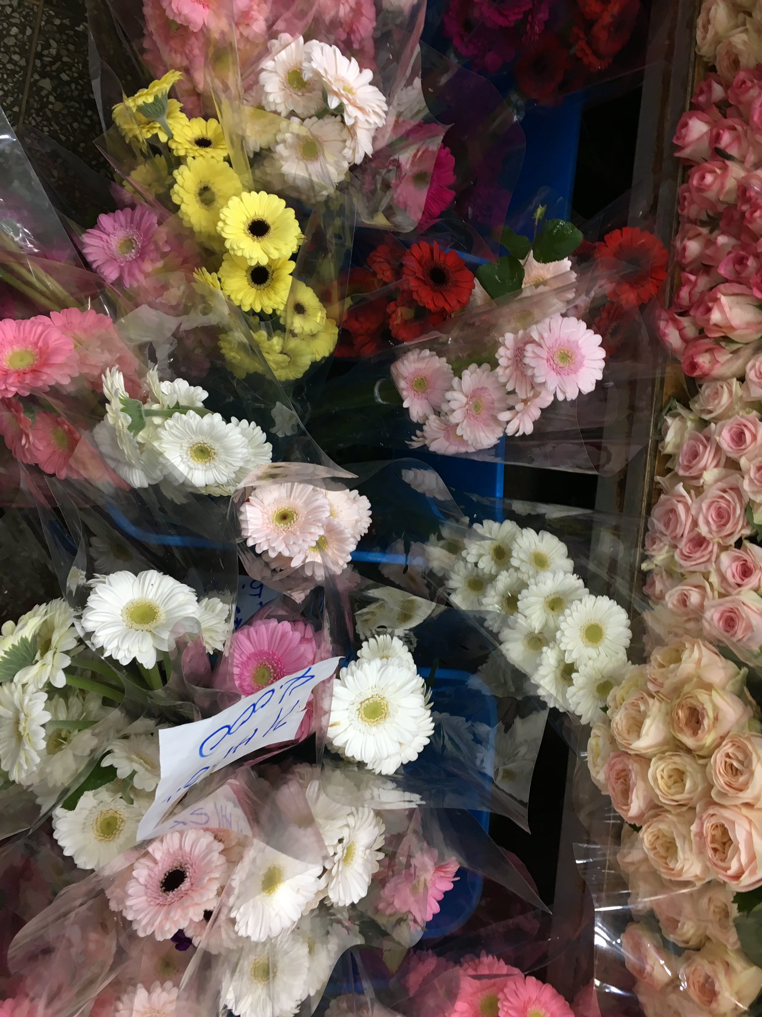 [잡담] 꽃 포장보다 이런 투명비닐이 이쁨 | 인스티즈