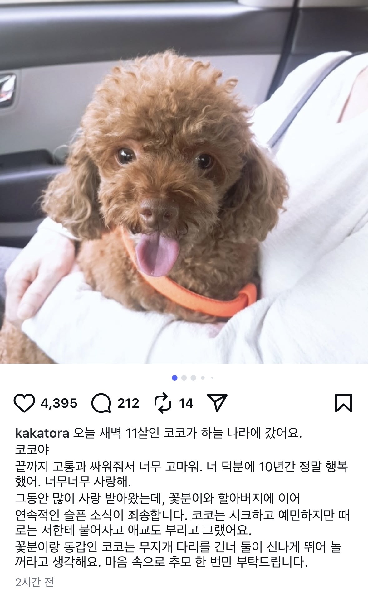[잡담] 헐 무슨일이냐... 이주승 강아지도 죽었대.. | 인스티즈