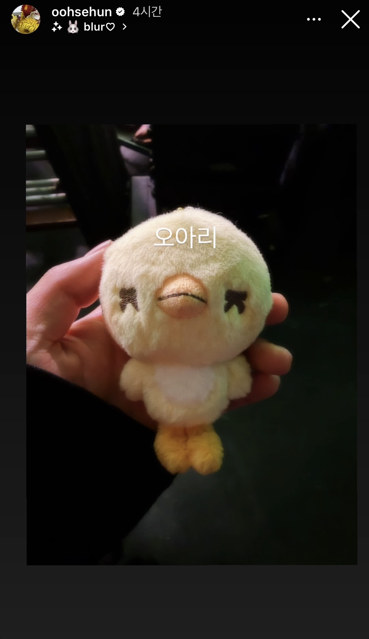 [잡담] 와 세훈 공식 인형 너무 귀여워ㅠㅠㅠ | 인스티즈