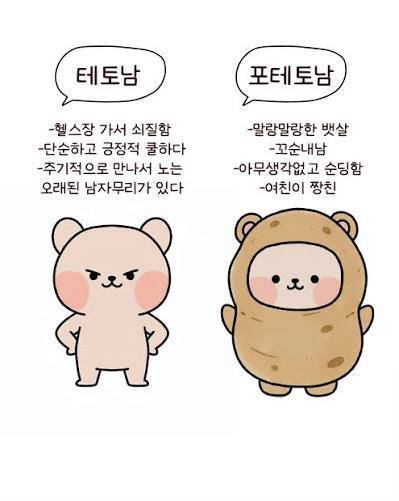 [잡담] 요즘 이런 구도가 유행인가 | 인스티즈