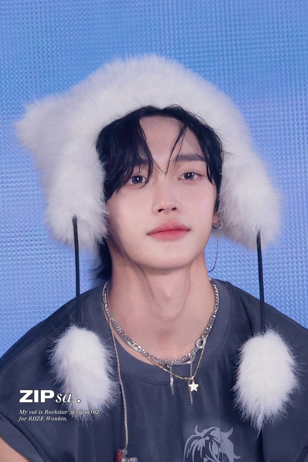 [잡담] 원빈이 으른남자도 됐다가 고양이도 됐다가 | 인스티즈