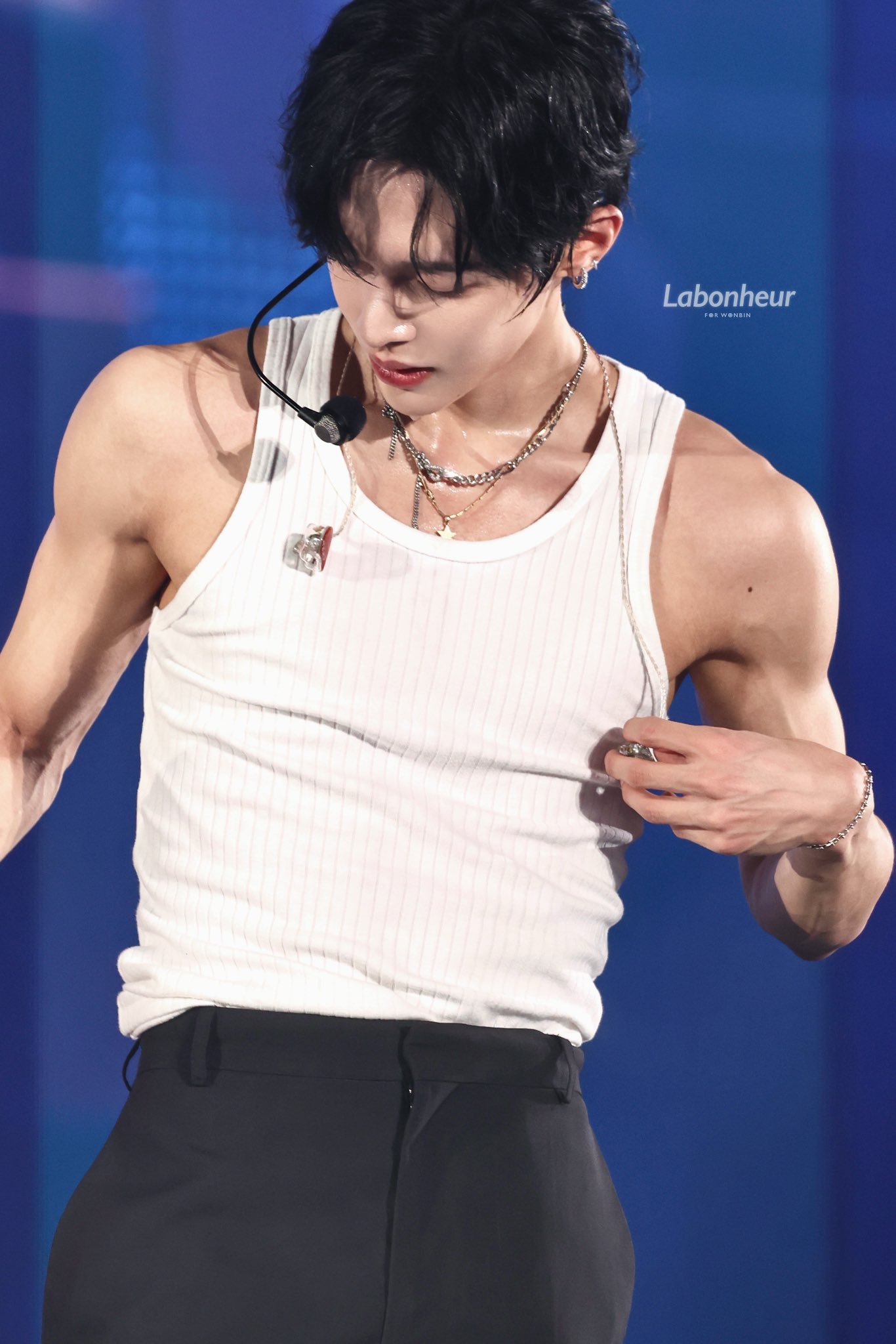 [잡담] 원빈이 으른남자도 됐다가 고양이도 됐다가 | 인스티즈