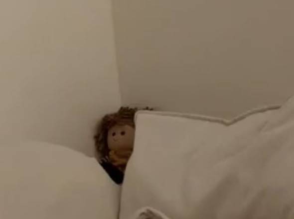 [잡담] 이 인형 이름? 브랜드? 뭐더라ㅠㅠㅠ | 인스티즈