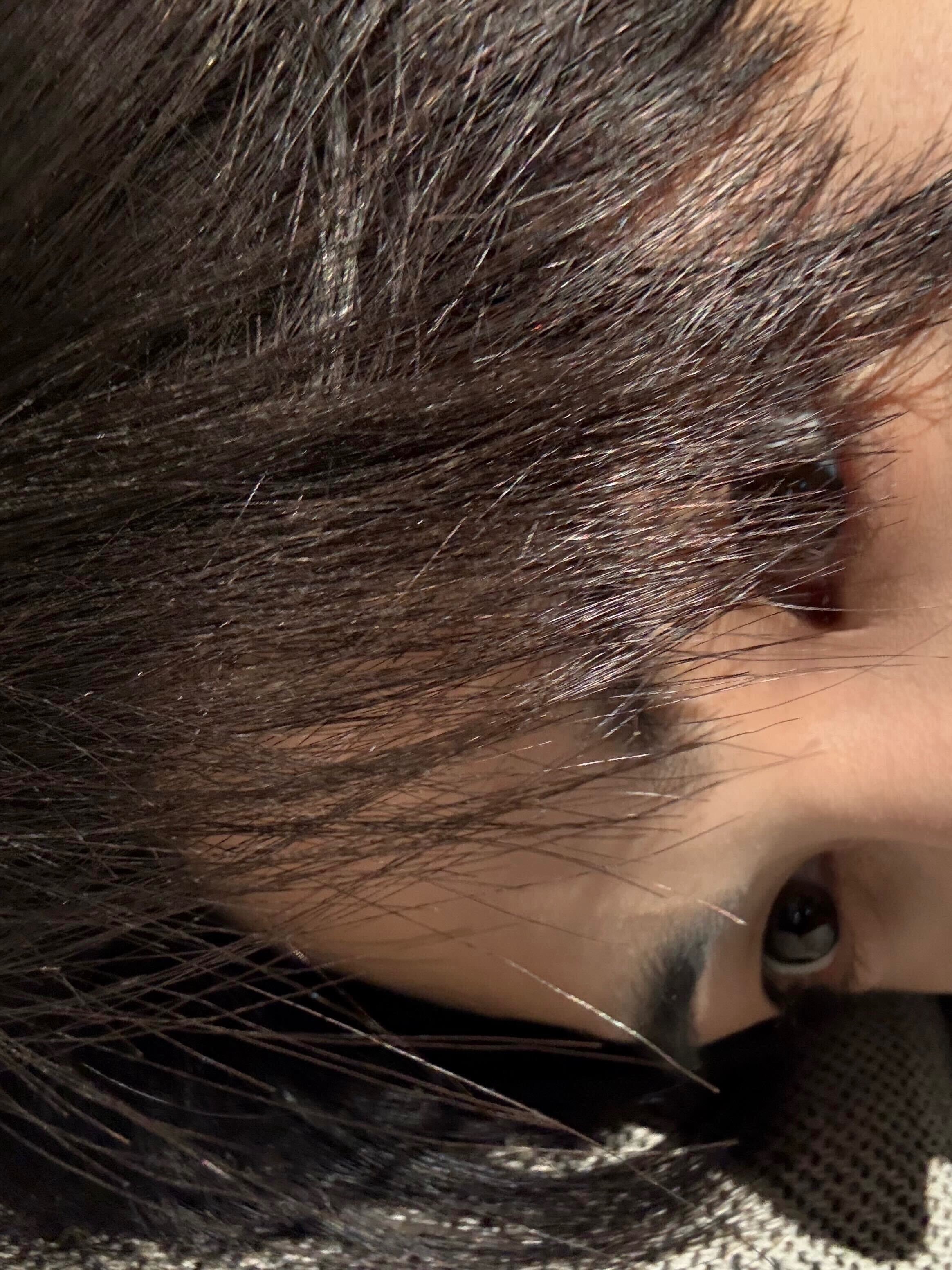 [잡담] 혹시 이 사진 누구야?? | 인스티즈