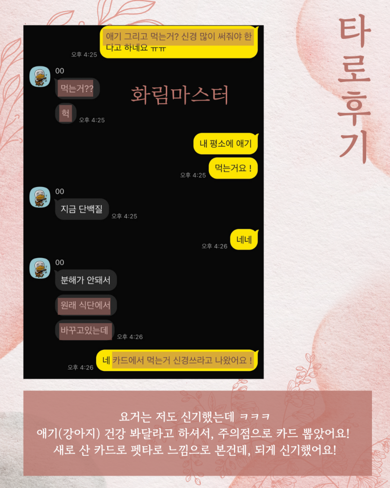 사주/타로/촉으로 운세 봐드립니다 ! ❤ 후기많음/조작일체없음 | 인스티즈