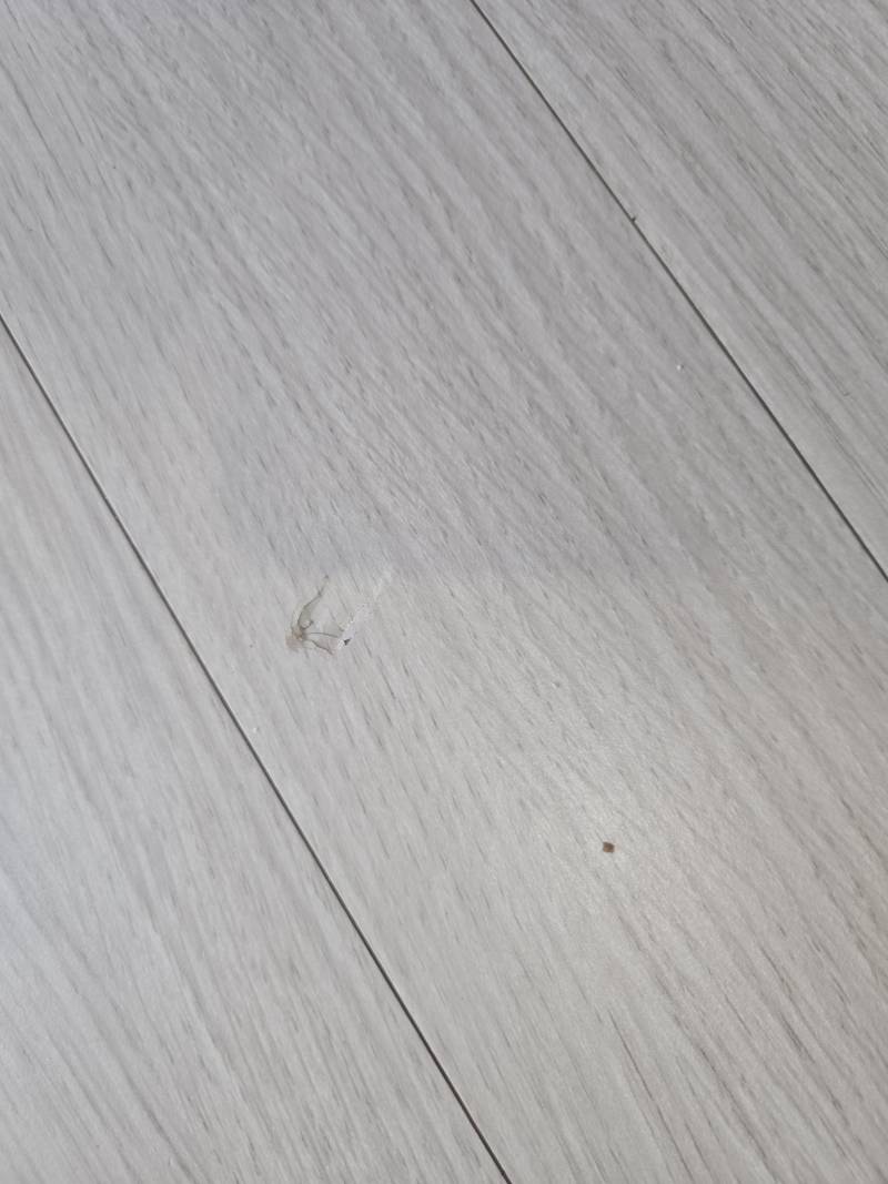 [잡담] 원룸 이정도도 내가 물어내야하는거 맞음? | 인스티즈