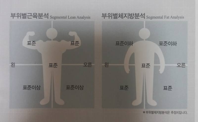 [잡담] 170 55+허벅지랑 엉덩이부터 찌는 몸매 솔직히 어때...? | 인스티즈