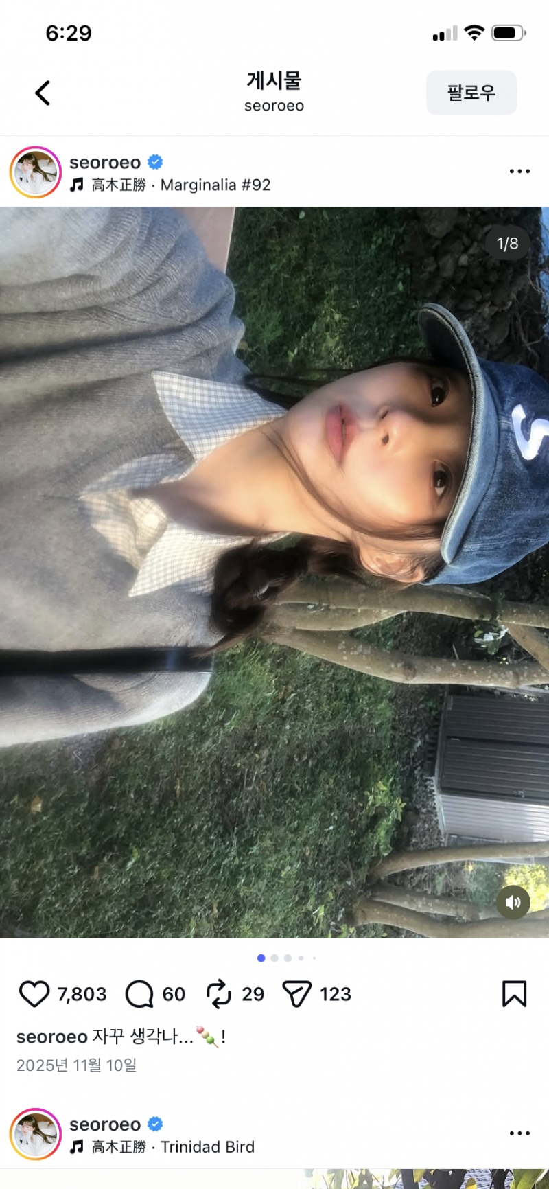 [잡담] 이런 색감이랑 비슷하게 나오는 카메라 어플 필터 추천해줄 사람! | 인스티즈