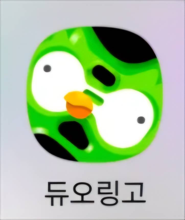 [잡담] (혐오주의) 듀오링고 아이콘 진짜 이래? | 인스티즈