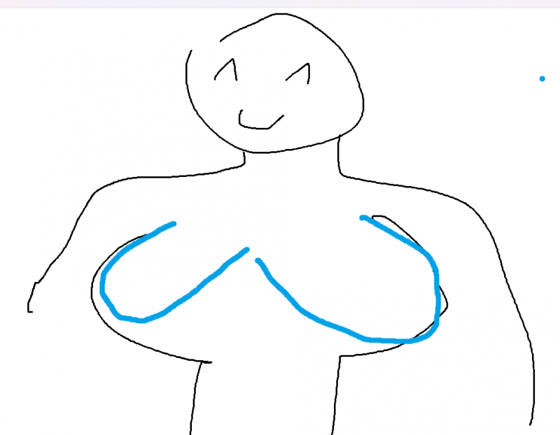 [잡담] 나 브라하면 가슴 개크고 예쁜데 사실 | 인스티즈