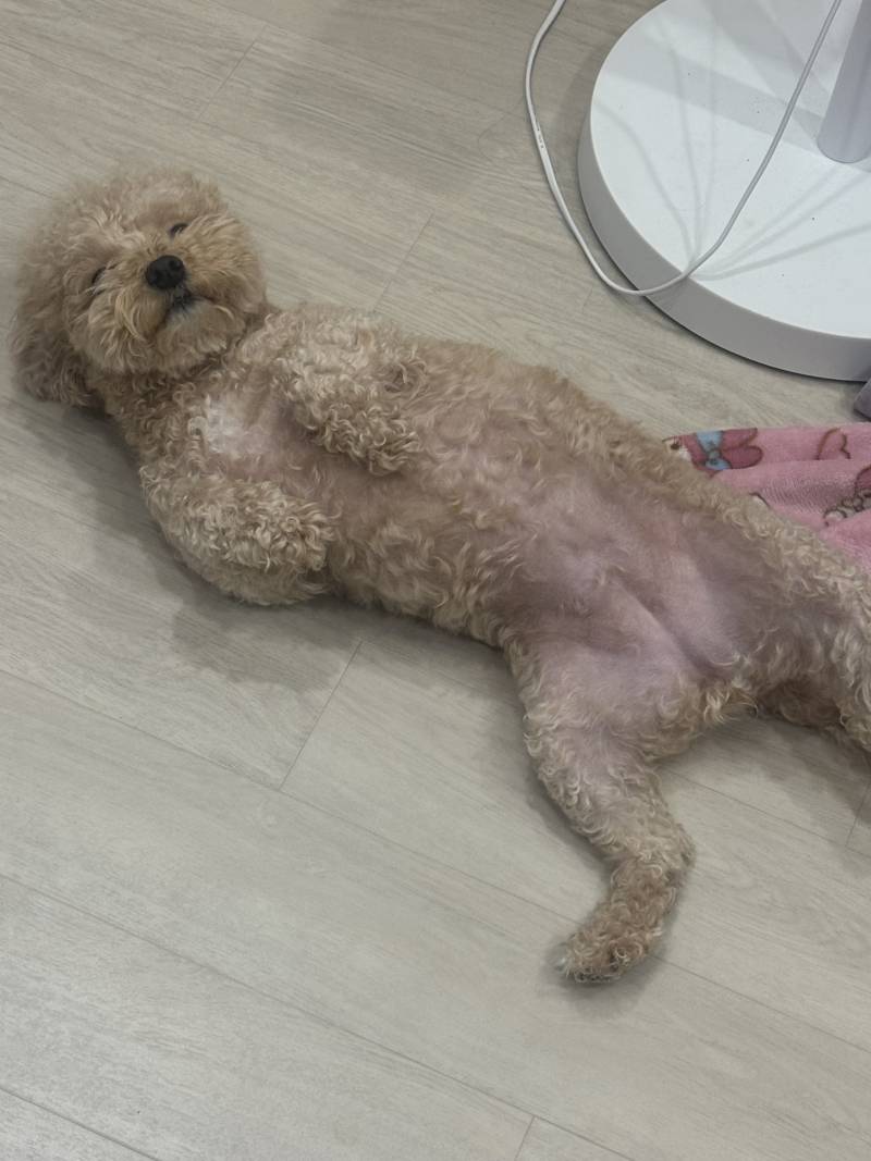 [잡담] 아침부터 왜이러시지 | 인스티즈