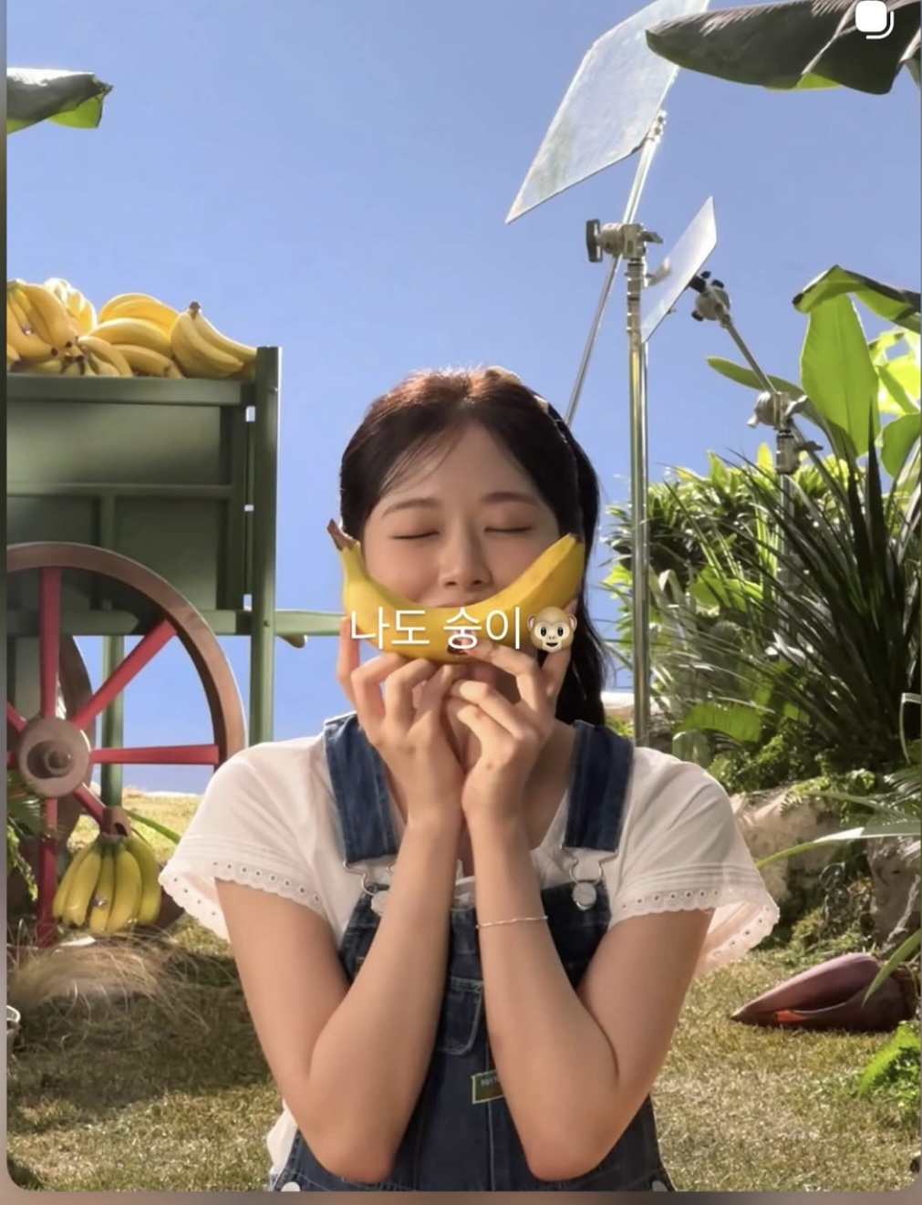 [잡담] 안유진 나도숭이 | 인스티즈