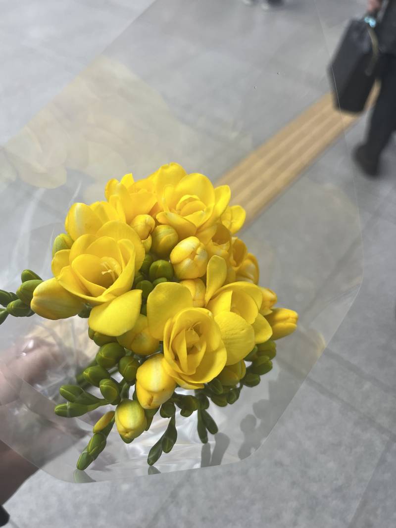[잡담] 꽃 지금이라도 다른 거 살까..? | 인스티즈