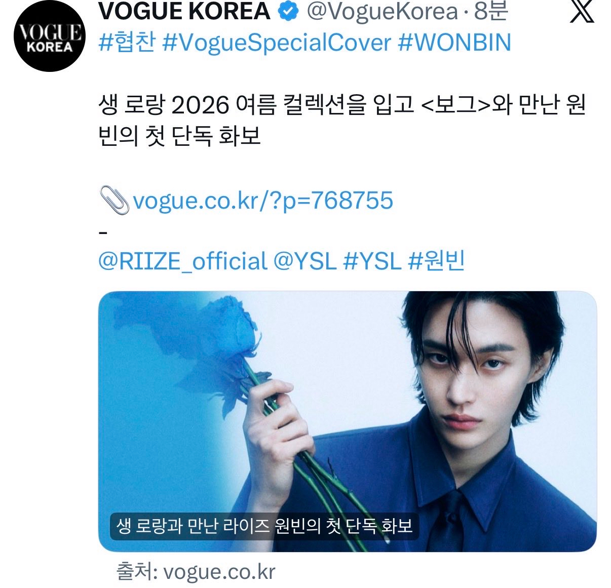 [잡담] 보그가 이사진 썸네일로쓴거 ㄹㅇ | 인스티즈