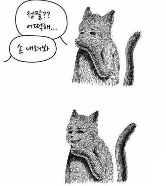 [잡담] 한국 4강 가면 어떡해 | 인스티즈