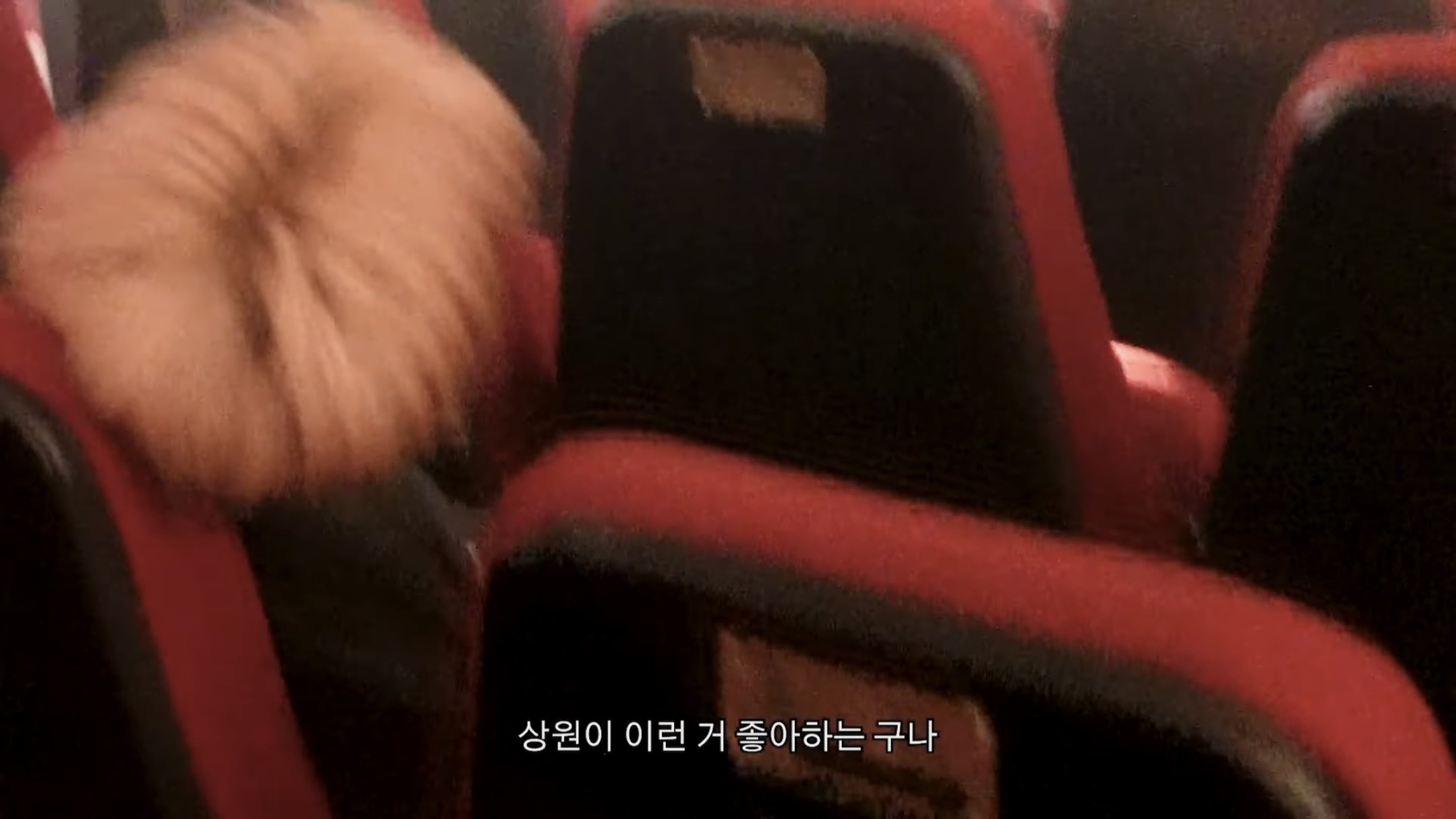 [잡담] 알디원 비하보는데 준서 너무 따수워 | 인스티즈