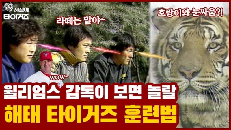 [잡담] x에서 이런 질문을 봤는데 | 인스티즈