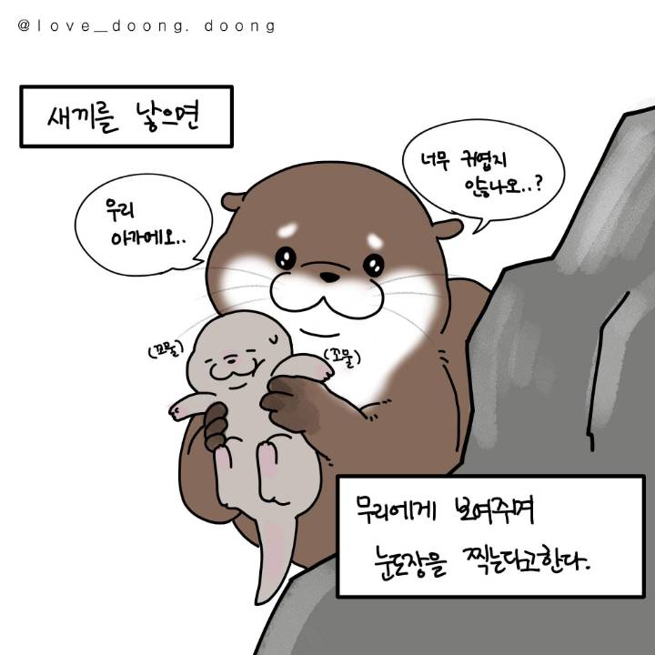 [잡담] 메이들 요즘 신나서 뭔 애기 냅다 보여주는 수달마냥ㅋㅋㅋ | 인스티즈