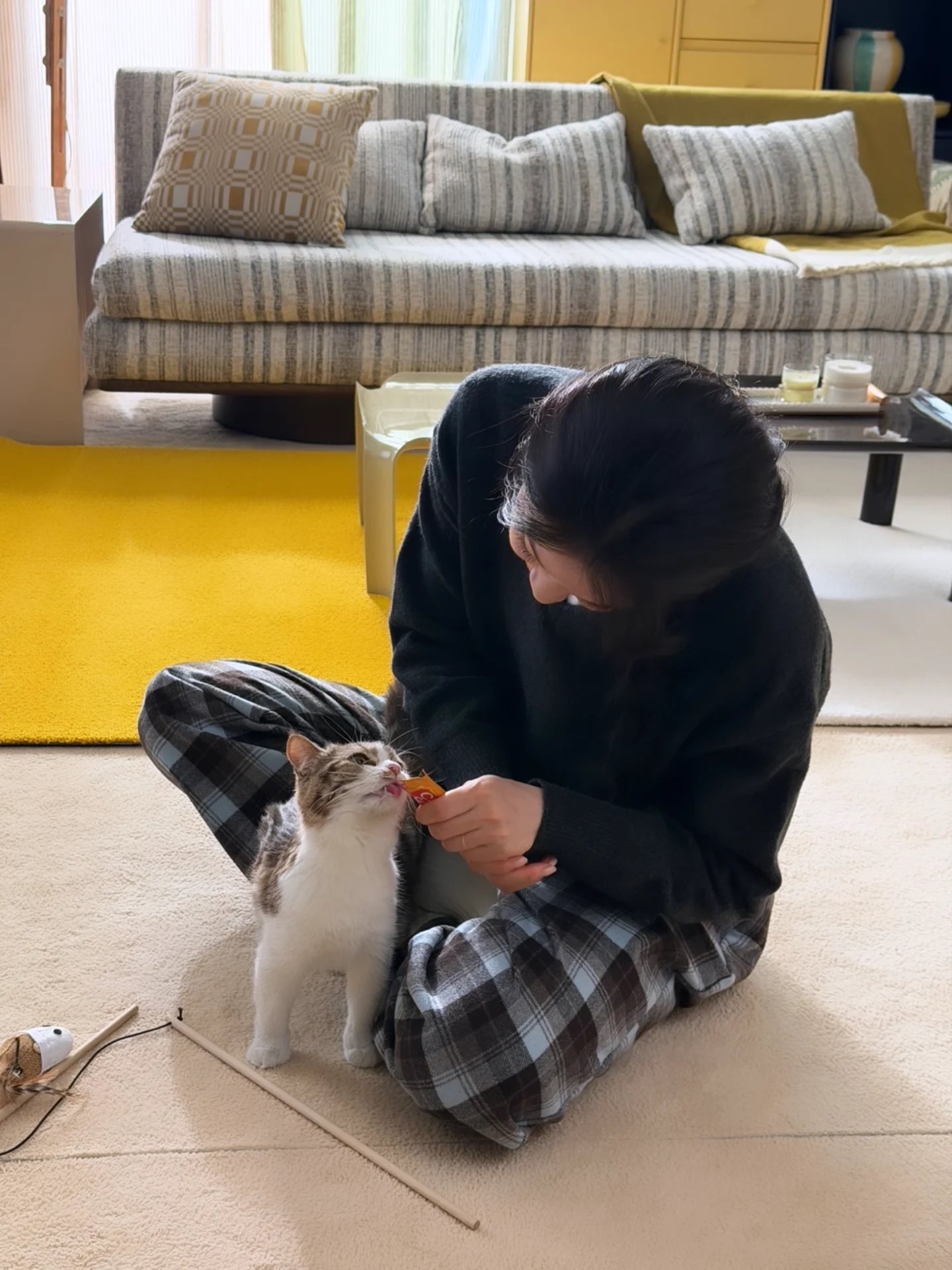 [잡담] 260312 김연아 인스타 🐶🐱🥲❤️ | 인스티즈