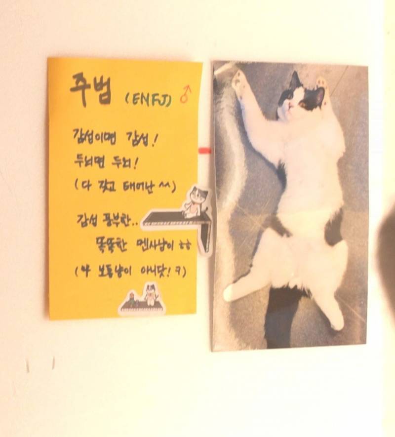 [잡담] 오늘 고양이가 운영하는 만화카페 다녀왔어 🐱 | 인스티즈