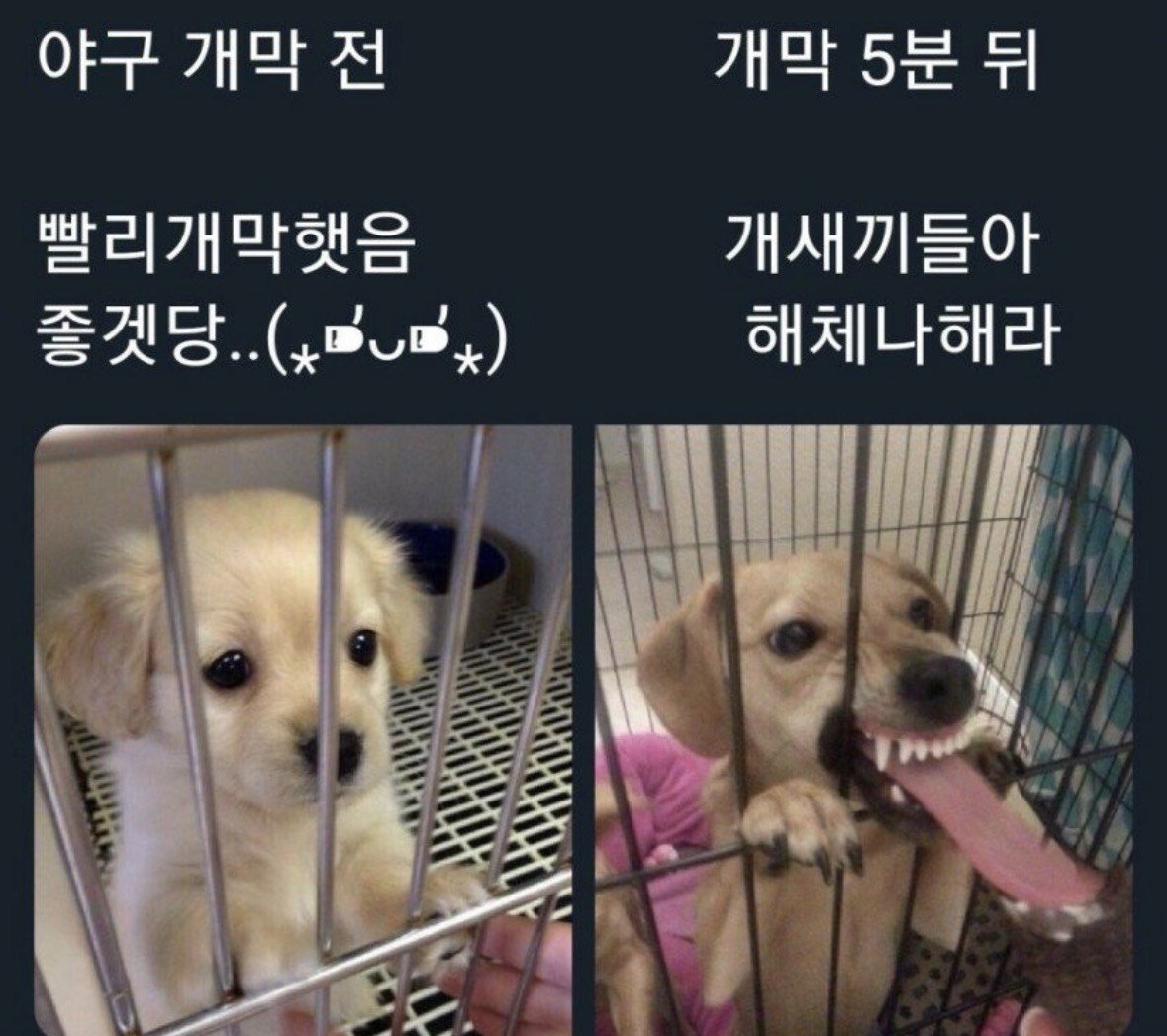 [잡담] 아니 야구는 왜 항상 이런식일까(내얘기임) | 인스티즈