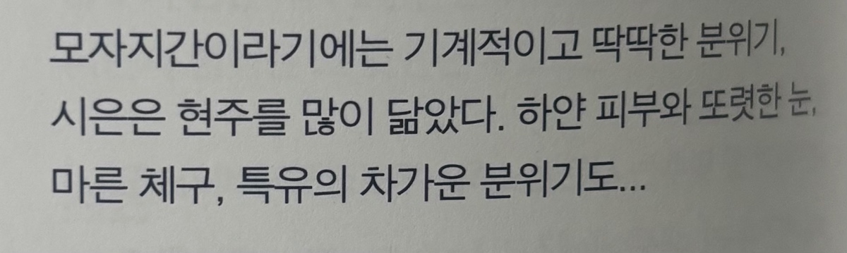 [잡담] 약한영웅 은근 설정 잘한게 시은이 얼굴은 외탁이고 | 인스티즈