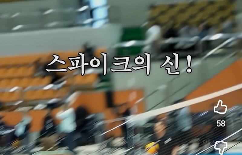 퍼컬이 배구 코트인 선출 아이돌 직관 후기.jpg | 인스티즈