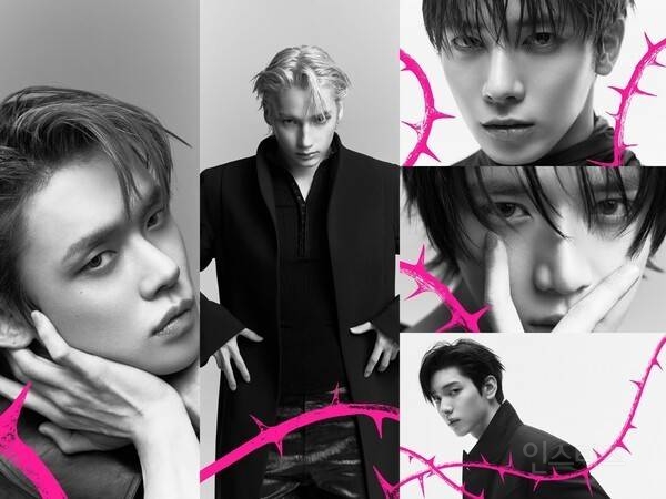 150만원짜리 굿즈 내놓은 투바투 | 인스티즈