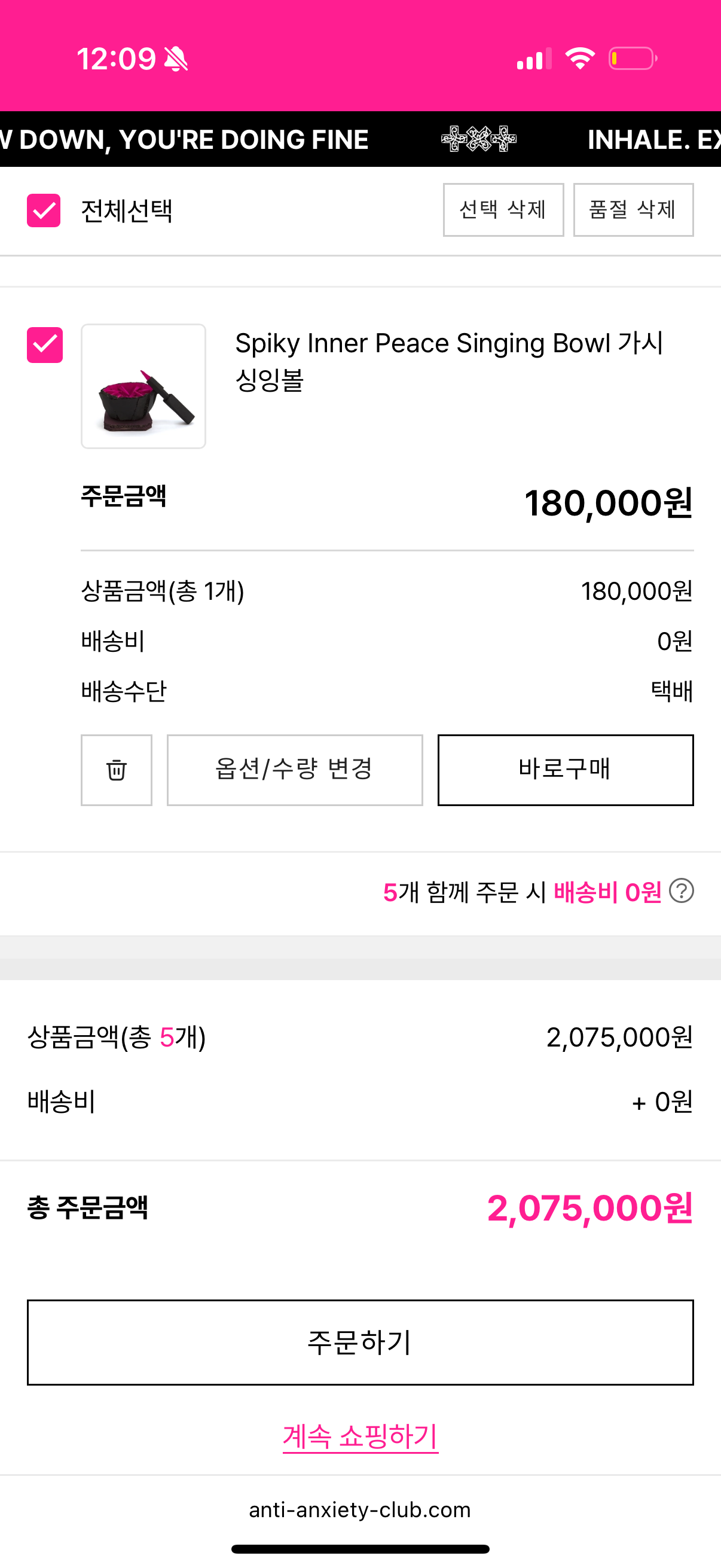 [잡담] 투바투 굿즈 사고싶은거 담으니까 207만원 나왔어 | 인스티즈