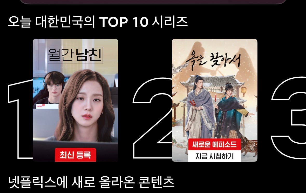 [정보/소식] 현재 우리나라 넷플릭스에서 2위라는 동북공정 중드 | 인스티즈
