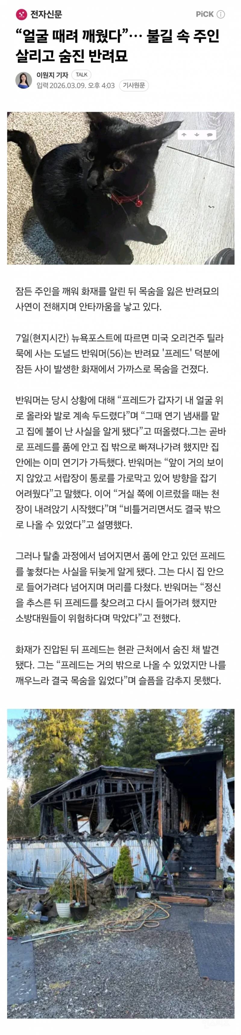 🐈‍⬛"얼굴 때려 깨웠다”… 불길 속 주인 살리고 숨진 반려묘 | 인스티즈