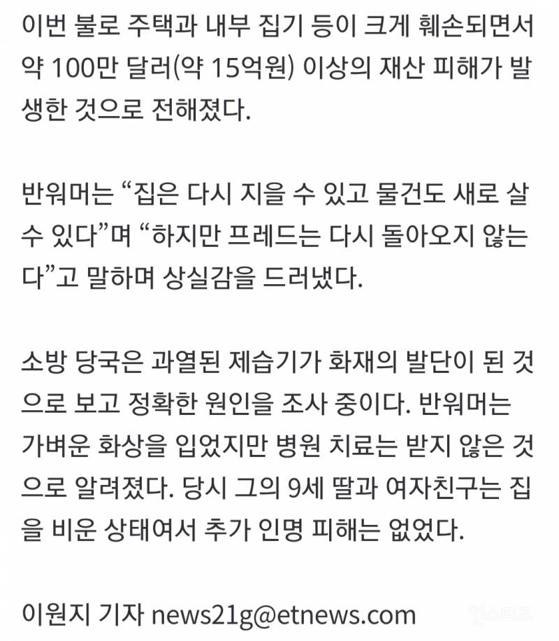 🐈‍⬛"얼굴 때려 깨웠다”… 불길 속 주인 살리고 숨진 반려묘 | 인스티즈