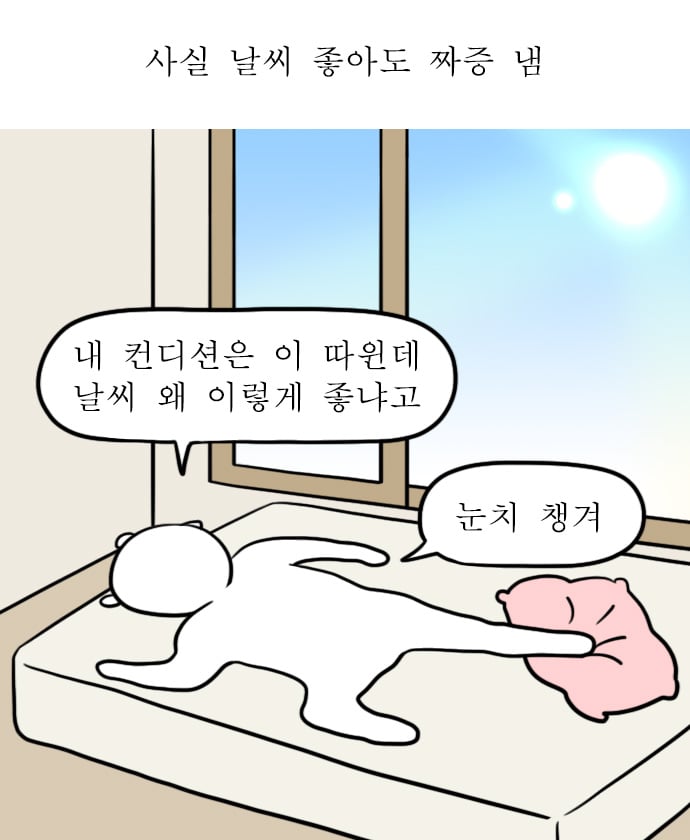 [잡담] 진짜 생리는 왜 하는건지 모르겠음 | 인스티즈