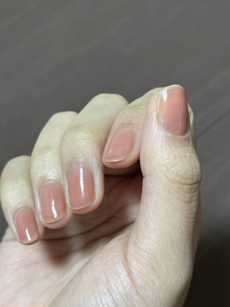 [잡담] 오호라 네일강화제 색 이뿌미 | 인스티즈