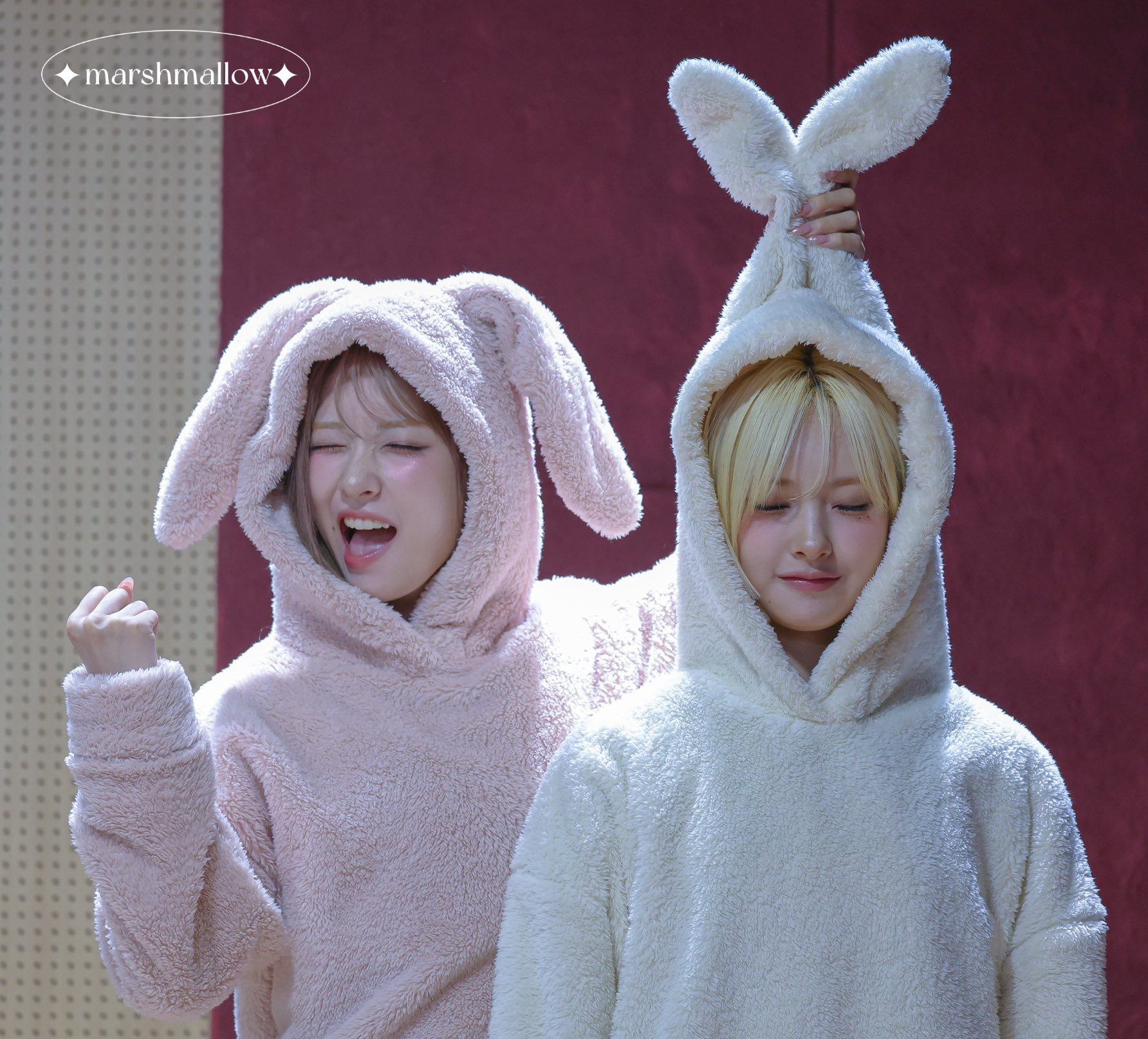 [잡담] 아 나 이 사진 너무 귀여웤ㅋㅋㅋㅋㅋㅋㅋㅋㅋㅋ | 인스티즈