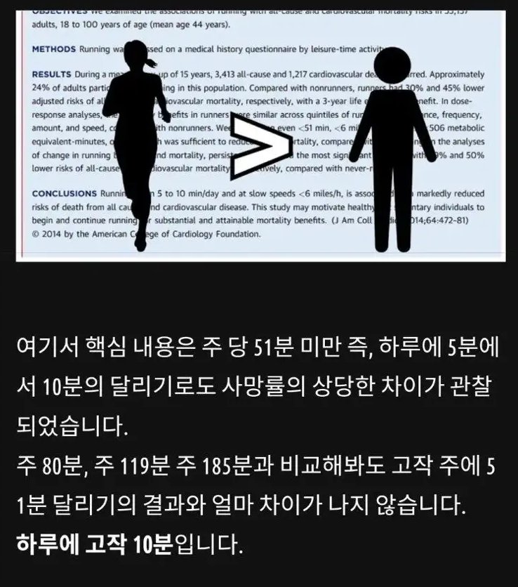 하루 10분 달리기의 효과 | 인스티즈