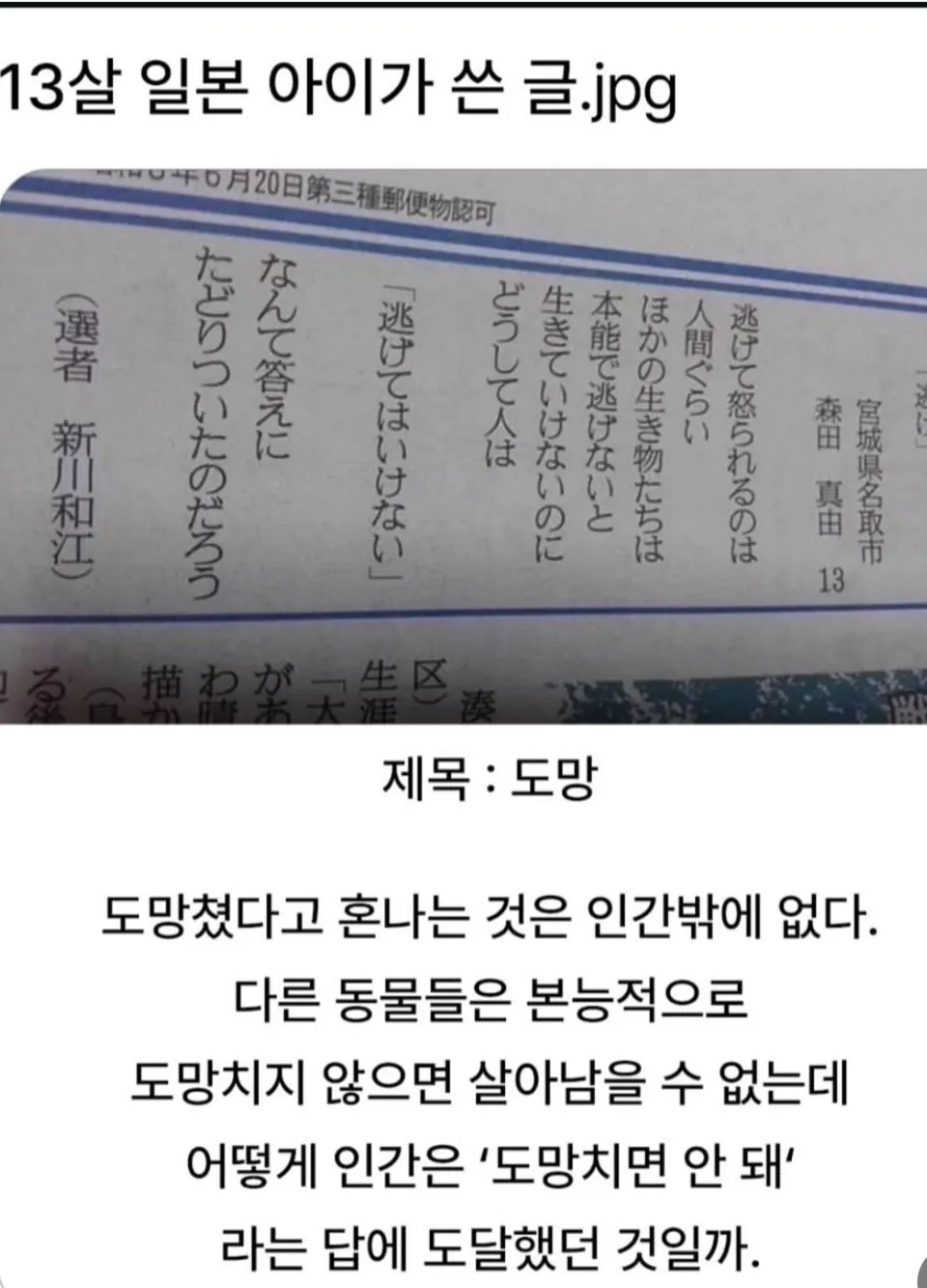 일본에서 화제 된 13살 아이가 쓴 글 .jpg | 인스티즈