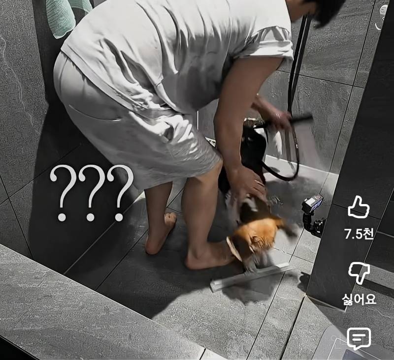 현실고증 제대로인 강아지 목욕시킬때.jpg | 인스티즈