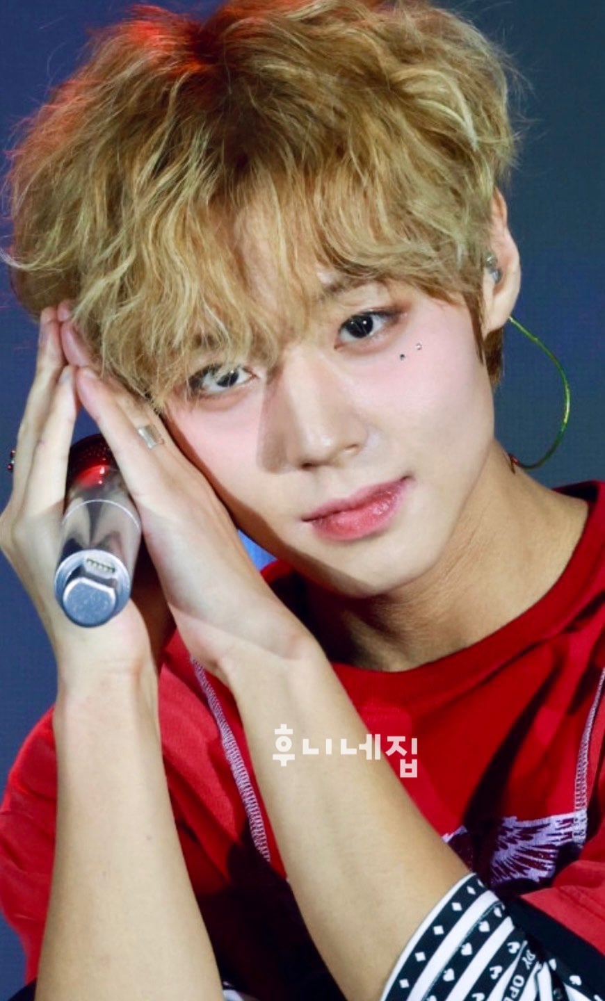[잡담] 그냥 여기저기서 주운 박지훈 사진 올려봄(얼빡샷 위주) | 인스티즈